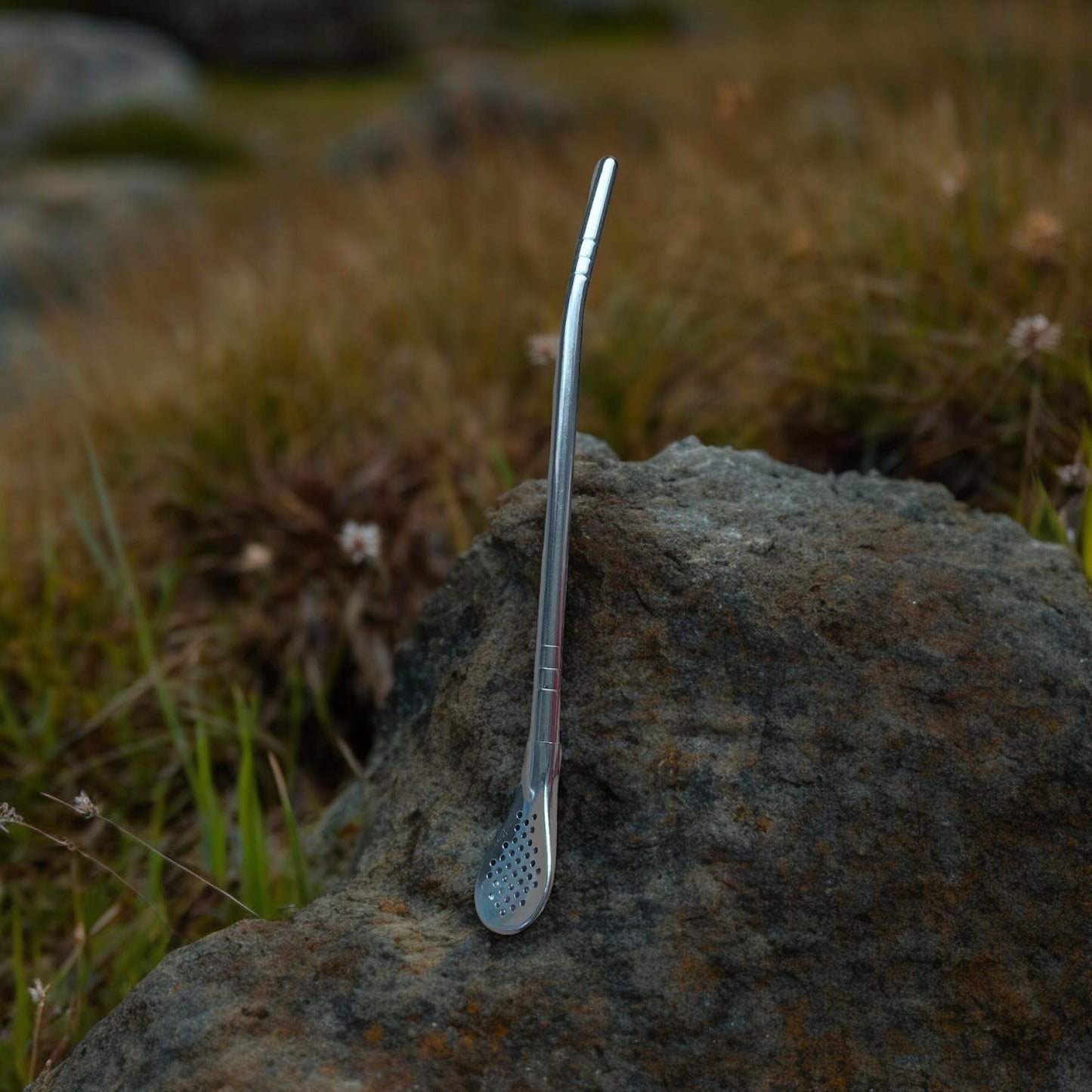 Lítið Spoon Bombilla