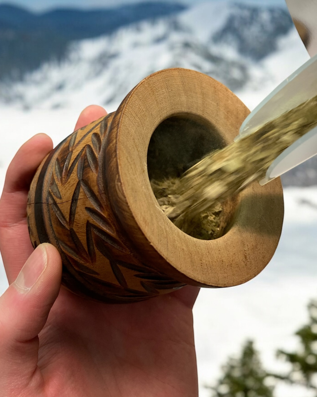 Playadito Yerba Mate Container