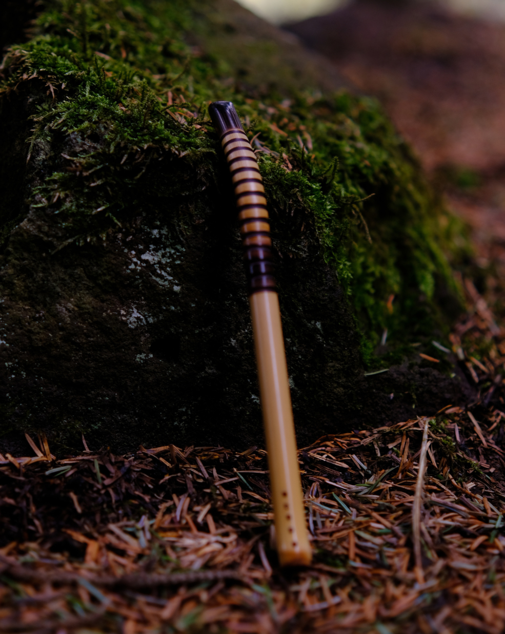 Bamboo Bombilla